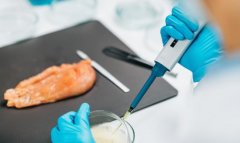  <strong>2026食物检测行业全</strong>